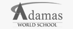 Admas World School