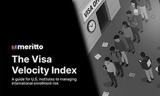 The Visa Velocity Index